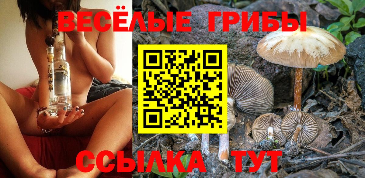 Галлюциногенные грибы GOLDEN TEACHER Сальск