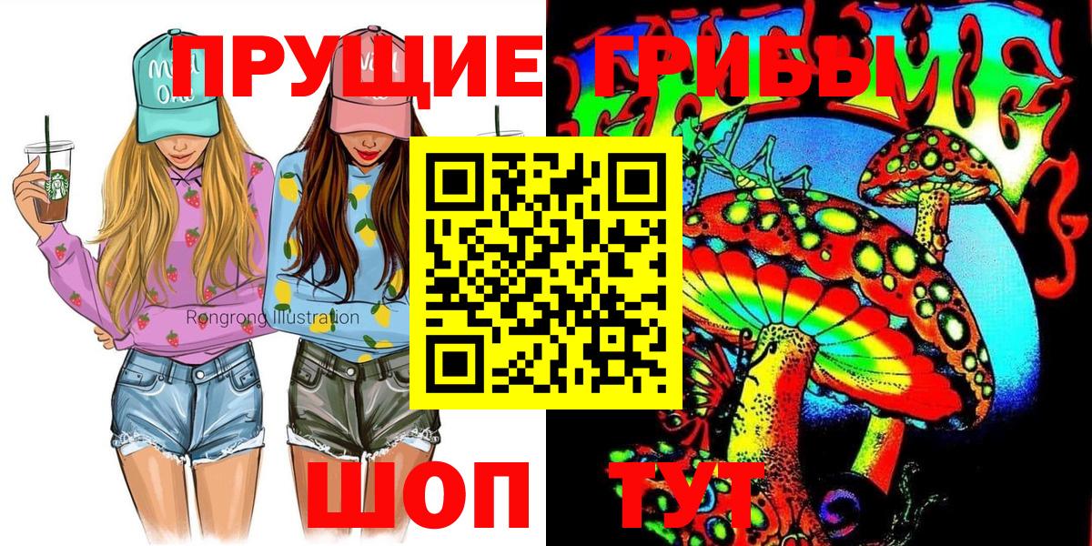 Сальск  Галлюциногенные грибы прущие грибы  Вход с VPN 